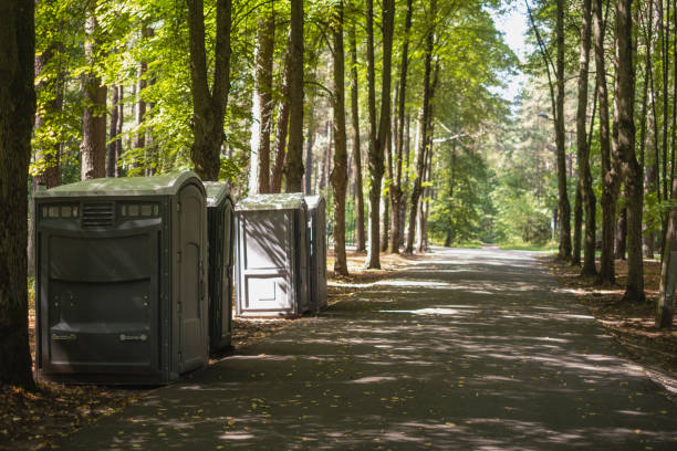 Best Porta potty rental for parties  in St Croix Falls, WI